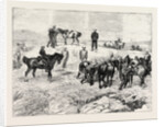 The Late Prince Louis Napoleon, Recovery of the Body in the Valley of Ilyotozi by Anonymous