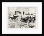 The Late Prince Louis Napoleon, Recovery of the Body in the Valley of Ilyotozi by Anonymous