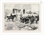 The Late Prince Louis Napoleon, Recovery of the Body in the Valley of Ilyotozi by Anonymous