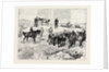 The Late Prince Louis Napoleon, Recovery of the Body in the Valley of Ilyotozi by Anonymous