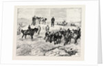 The Late Prince Louis Napoleon, Recovery of the Body in the Valley of Ilyotozi by Anonymous