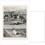 The Zulu War by Anonymous