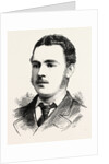 Mr. James Adrian Blaikie, of the Natal Carabineers Killed at Insandlwhana, Jan. 22, Aged 19, the Zulu War by Anonymous