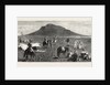 Encampment of Bettington's Horse, Conference Hill, the Zulu War by Anonymous
