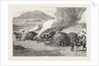 Lancers Burning Zulu Kraals, Upoko River, the Zulu War by Anonymous