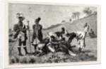 The Zulu War-Natal Kaffirs Cutting Up a Dead Bullock by Anonymous