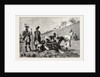 The Zulu War-Natal Kaffirs Cutting Up a Dead Bullock by Anonymous