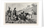 The Zulu War-Natal Kaffirs Cutting Up a Dead Bullock by Anonymous