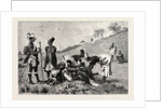 The Zulu War-Natal Kaffirs Cutting Up a Dead Bullock by Anonymous