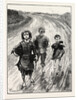 Children Carrying Turf to Pay Their School Fees, Ireland by Anonymous