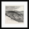 Bird's-Eye View of the March-Past, at Dover by Anonymous