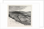 Bird's-Eye View of the March-Past, at Dover by Anonymous