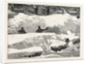 Blizzard in New York, Aspect of an Up Town Street the Day after the Storm, United States by Anonymous