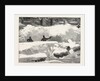 Blizzard in New York, Aspect of an Up Town Street the Day after the Storm, United States by Anonymous