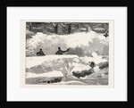 Blizzard in New York, Aspect of an Up Town Street the Day after the Storm, United States by Anonymous