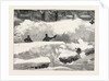 Blizzard in New York, Aspect of an Up Town Street the Day after the Storm, United States by Anonymous
