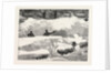 Blizzard in New York, Aspect of an Up Town Street the Day after the Storm, United States by Anonymous