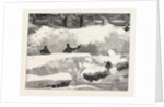 Blizzard in New York, Aspect of an Up Town Street the Day after the Storm, United States by Anonymous