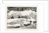 Blizzard in New York, Aspect of an Up Town Street the Day after the Storm, United States by Anonymous