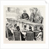 Presentation of the Freedom of the Bororgh of Birmingham to Mr. Chamberlain in the Council House by Anonymous