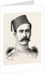 Colonel V.H. Tapp 3rd Battalion, Egyptian Army, Egypt by Anonymous