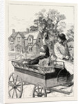 For My Host Speedily Devised the Plan of Forwarding Me to the Railway Station in a Farm Waggon, and I Was Reluctantly Compelled to Bid the Hospitable Homestead Farewell by Anonymous