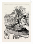 For My Host Speedily Devised the Plan of Forwarding Me to the Railway Station in a Farm Waggon, and I Was Reluctantly Compelled to Bid the Hospitable Homestead Farewell by Anonymous