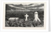 The Present Neglected State of the British Graves at Majuba Hill, South Africa by Anonymous
