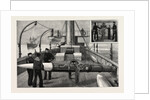 Torpedo Gun Boat, Loading a Torpedo Tube on the Upper Deck, Looking Forward by Anonymous