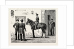 The Queen at Florence, Italy, Guard of Royal Carabineers at the Gate of the Villa Palmier, Her Majesty's Residence by Anonymous