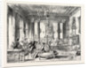 Dublin Castle, Ireland, Drawing-Room in the Viceregal Lodge by Anonymous