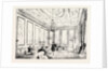 Dublin Castle Ireland, the State Drawing-Room by Anonymous