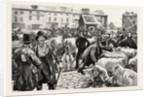 A Cattle Fair, County Galway Ireland by Anonymous