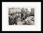A Cattle Fair, County Galway Ireland by Anonymous