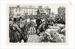A Cattle Fair, County Galway Ireland by Anonymous