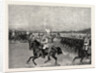 Review of the Garde Du Corps Before the Queen, the Empress Victoria, and the Royal Family Berlin Germany by Anonymous