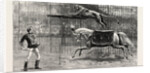The Equestrian Lion Going Through His Performance at Covent Garden Theatre, London by Anonymous