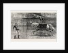 The Equestrian Lion Going Through His Performance at Covent Garden Theatre, London by Anonymous