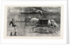 The Equestrian Lion Going Through His Performance at Covent Garden Theatre, London by Anonymous