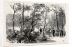 Bournemouth, View in Public Gardens by Anonymous