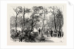 Bournemouth, View in Public Gardens by Anonymous