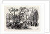 Bournemouth, View in Public Gardens by Anonymous