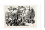 Bournemouth, View in Public Gardens by Anonymous