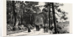 Bournemouth, the Invalids Walk in Public Gardens by Anonymous