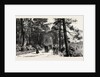 Bournemouth, the Invalids Walk in Public Gardens by Anonymous