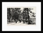 Bournemouth, the Invalids Walk in Public Gardens by Anonymous