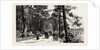 Bournemouth, the Invalids Walk in Public Gardens by Anonymous