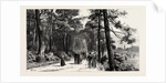 Bournemouth, the Invalids Walk in Public Gardens by Anonymous