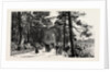 Bournemouth, the Invalids Walk in Public Gardens by Anonymous