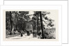 Bournemouth, the Invalids Walk in Public Gardens by Anonymous